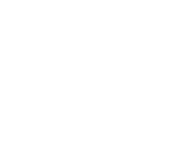 Aureole Motion Studio